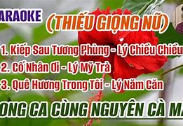 Bài Hát Lý Chiều Chiều Karaoke