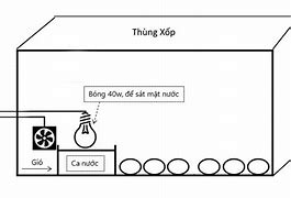 Cách Ấp Trứng Gà Bằng Điện