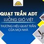 Công Ty Cp Ánh Dương Xanh Việt Nam