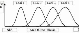 Ổ Sinh Thái Hẹp Là Gì