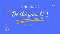 Ôn Tập Giữa Học Kì 1 Tiếng Anh 10