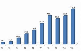 Thống Kê Khách Du Lịch Quốc Tế Đến Việt Nam Năm 2024 Là Ai Sao