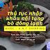 Thủ Tục Nhập Khẩu Nội Tạng Bò