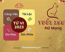 Tử Vi Tuổi Mão 1987 Năm 2023 Nữ Mạng Theo Tháng