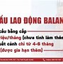 Xkld Ba Lan 2022 Cần Điều Kiện Gì Ko Học Đại Học Ở Mỹ